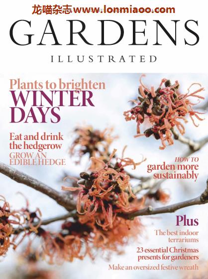 [英国版]Gardens Illustrated 园艺画报 2019年12月刊